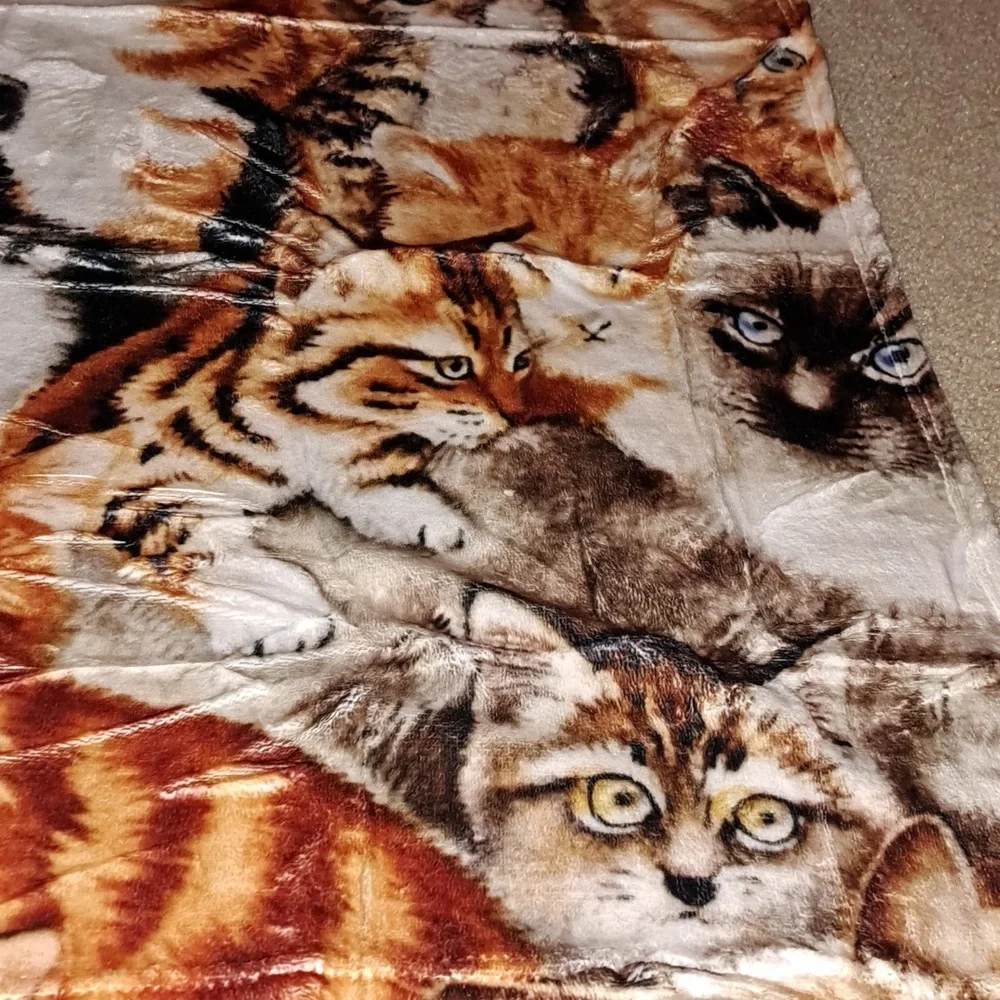 🗽Cat pet blanket 39 x 29